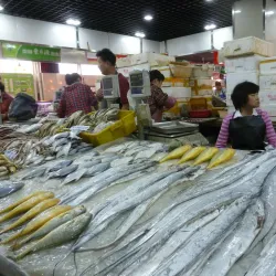 French Concession - Shanghai