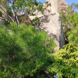 Queshi Scenic Area - Shantou