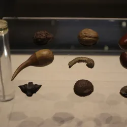 Shantou Museum - Shantou