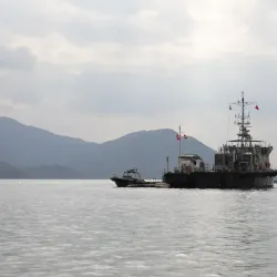 Dajiao Bay - Shanwei