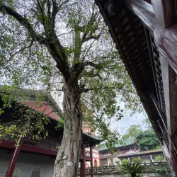 Nanhua Temple - Shaoguan