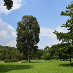 Shaoguan Botanical Garden - Shaoguan