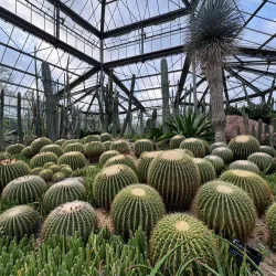 Shaoguan Botanical Garden - Shaoguan