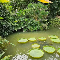 Shaoguan Botanical Garden - Shaoguan