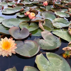 Shaoguan Botanical Garden - Shaoguan