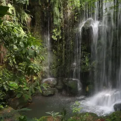 Shaoguan Botanical Garden - Shaoguan