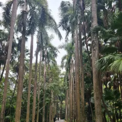 Shaoguan Botanical Garden - Shaoguan
