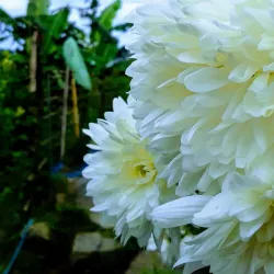 Shaoguan Museum - Shaoguan