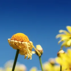 Shaoguan Museum - Shaoguan