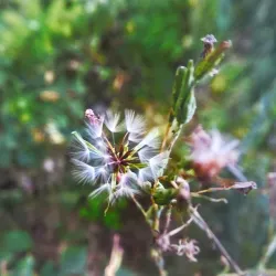 Zhenjiang Ancient Town - Shaoguan