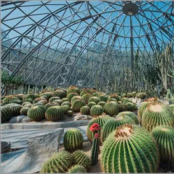 Fairy Lake Botanical Garden - Shenzhen