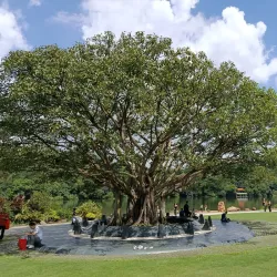 Fairy Lake Botanical Garden - Shenzhen