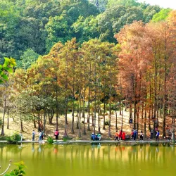Fairy Lake Botanical Garden - Shenzhen