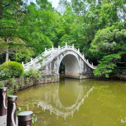 Fairy Lake Botanical Garden - Shenzhen