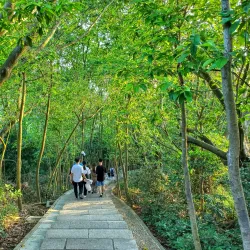 Lianhua Mountain Park - Shenzhen