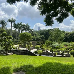 Lianhua Mountain Park - Shenzhen