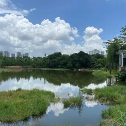 Lianhua Mountain Park - Shenzhen