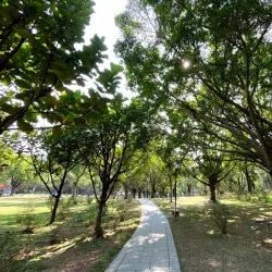 Lianhua Mountain Park - Shenzhen