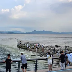 Shenzhen Bay Park - Shenzhen