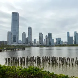 Shenzhen Bay Park - Shenzhen