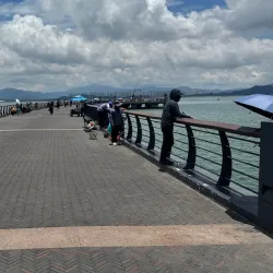 Shenzhen Bay Park - Shenzhen