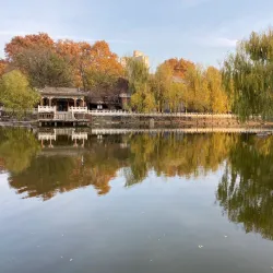 Chang'an Park - Shijiazhuang