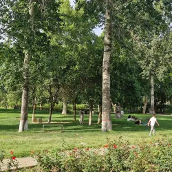 Chang'an Park - Shijiazhuang