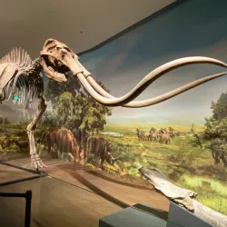 Hebei Provincial Museum - Shijiazhuang