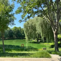 Shijiazhuang Botanical Garden - Shijiazhuang