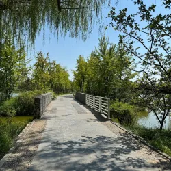 Shijiazhuang Botanical Garden - Shijiazhuang