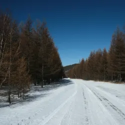Daba Mountain National Forest Park - Shiyan
