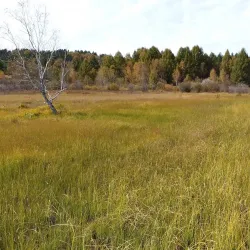 Daba Mountain National Forest Park - Shiyan