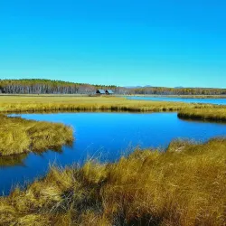 Daba Mountain National Forest Park - Shiyan