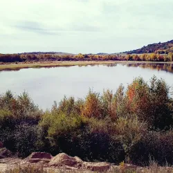 Daba Mountain National Forest Park - Shiyan