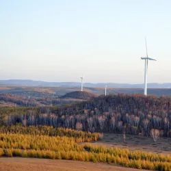 Daba Mountain National Forest Park - Shiyan