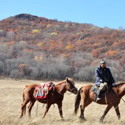 Daba Mountain National Forest Park - Shiyan