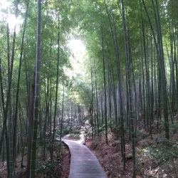 Shuangyashan Forest Park - Shuangyashan