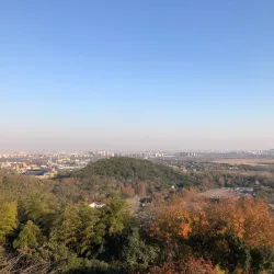 Shuangyashan Forest Park - Shuangyashan