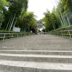 Shuangyashan People's Park - Shuangyashan