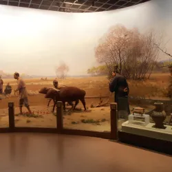 Suihua Agricultural Exhibition Center - Suihua