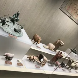 Suihua Agricultural Exhibition Center - Suihua