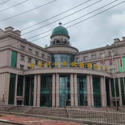 Suihua Museum - Suihua