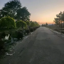 Suihua Old Street - Suihua