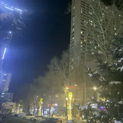 Suihua Old Street - Suihua