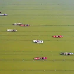 Sihong Ancient City - Suqian