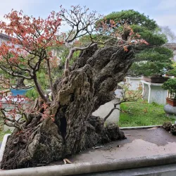 Lingering Garden - Suzhou