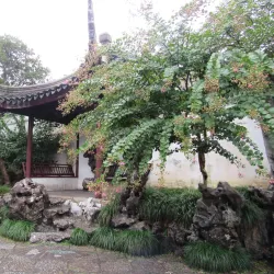 Master of Nets Garden - Suzhou