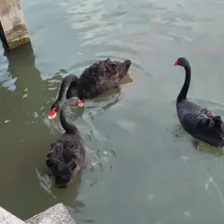 Panmen Gate - Suzhou