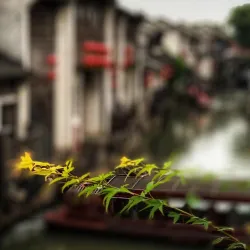 Shantang Street - Suzhou