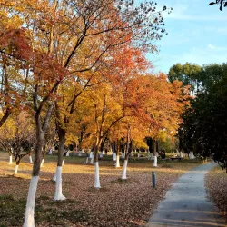Taicang Botanical Garden - Taicang